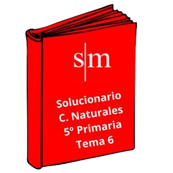 Solucionario 5º Primaria Ciencias Naturales Tema 6 SM