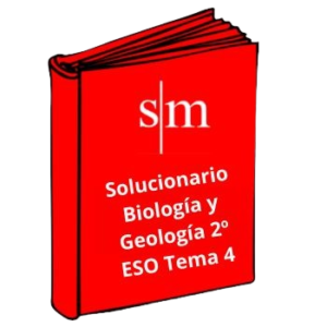 Solucionario 2º ESO Biología y Geología Tema 4 SM